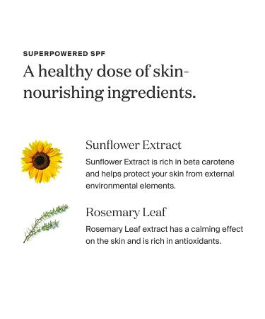 Supergoop! PLAY Everyday Lotion SPF 50 PA++++ 18 oz - Reef-Friendly Broad Spectrum Sunscreen for Sensitive Skin - Water & Sweat Resistant - Clean Ingredients - Great for Active Days - Buy Online on GoSupps.com