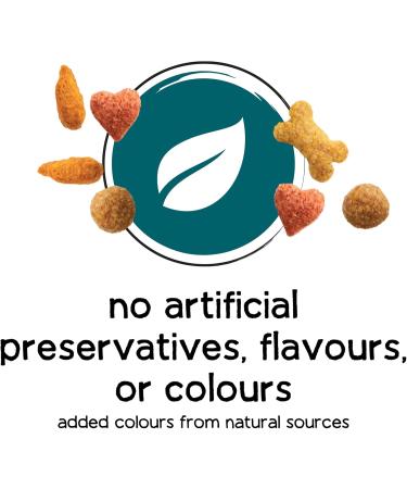 Beneful IncrediBites Dry Dog Food for Small Dogs Real Beef - 7 kg Bag - Buy Online on GoSupps.com