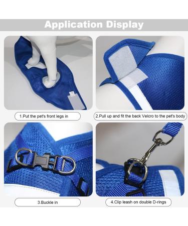 Meioro Adjustable Dog Harness with Leash - Soft Padded Vest for Small & Medium Dogs & Cats - Reflective & Comfortable - Blue XS (26-29cm) - Buy Online on GoSupps.com