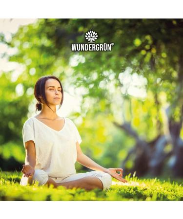 Wundergr n Organic Brahmi Capsules - 180 Vegan Bacopa Monnieri Capsules | 600mg Each 1200mg Daily Dose | Organic Certified Herbal Supplement - Buy Online on GoSupps.com