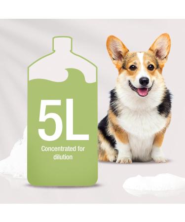 WAHL Shampoo for Pets - Jet Black 5L | Premium Pet Care International Shipping - Buy Online on GoSupps.com