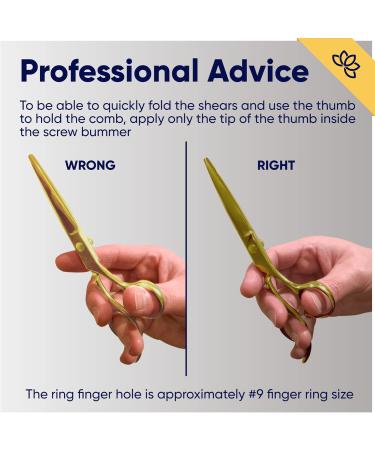 Equinox International Hair Cutting Scissors - Premium Japanese Stainless Steel - Professional Hairdressing Scissors for Men Women & Salons - Gold Finish - Buy Online on GoSupps.com