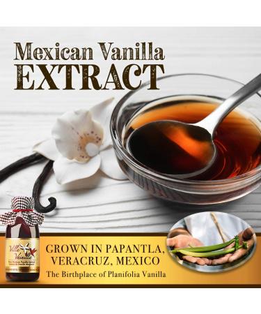 Villa Vainilla Pure Vanilla Extract - Premium Concentrated Vanilla Real Natural Gourmet Vanilla Flavor from Mexico 8.4 Fl Oz (Pack of 1) 8.4 Fl Oz (Pure Vanilla Extract) - Buy Online on GoSupps.com