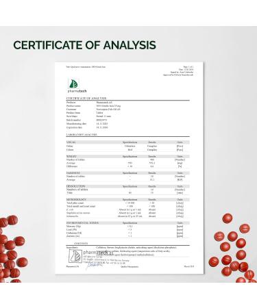 NFO Gentle Iron 100 Tablets Norwegian High-Absorption Iron Complex with Patented Ferrochel Chelated Iron Gentle on The Stomach Vegan-Friendly Non-Constipating - Buy Online on GoSupps.com