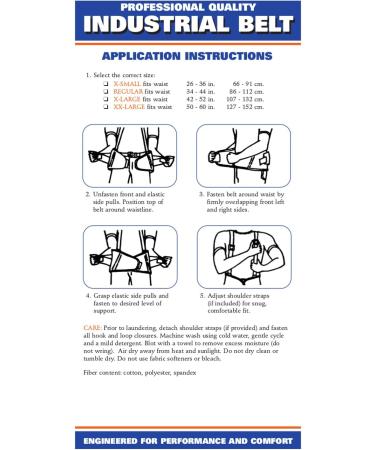 CHAMPION Industrial Belt Back Brace | Abdominal Support | Black | Regular | Comfort & Stability for Every Day - Buy Online on GoSupps.com