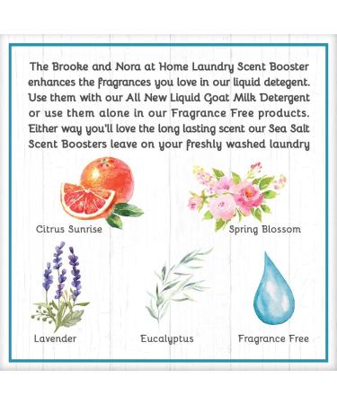 Buy B&N All Natural Laundry Scent Booster - Lavender 18 Ounce | International Shipping - Buy Online on GoSupps.com
