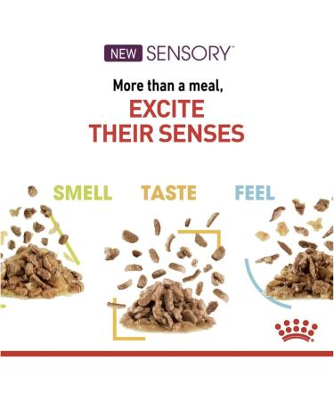 Royal Canin Sensory Feel In Jelly Wet Cat Food 12 x 85g Meat 12 count (Pack of 1) - Buy Online on GoSupps.com