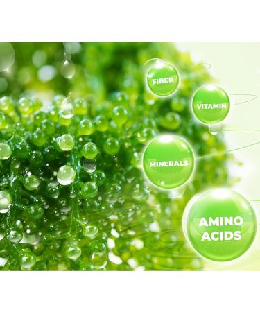 Organic Sea Grapes - Umibudo - Green Caviar - Dehydrated Lato - Crunchy & Healthy - 3.53 Oz (Pack of 5) - Buy Online on GoSupps.com