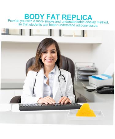 Baluue Fat 1lb Fat Model Manikin Mannequins Body Fat Anatomy Fat Replica with Display Base Fitness Tool Human Body - Buy Online on GoSupps.com