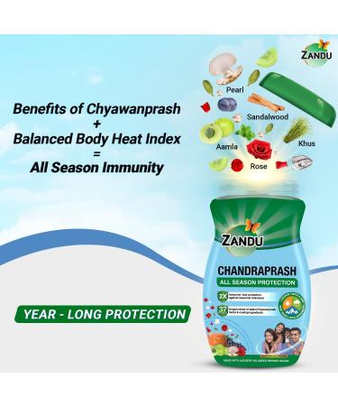 Zandu Chandraprash All Season Protection 2x Immunity* Blend of 37 Ingredients Chyawanprash Herbs + Cooling Ingredients No Refined Sugar & Ideal for Winter Monsoon & Summers 900g Black 1 count (Pack of 1) - Buy Online on GoSupps.com