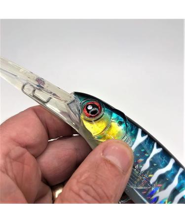 Deep Diving Saltwater trolling Lures for Striped Bass and Other Big Game Fish 120mm/4.75" 016 - Buy Online on GoSupps.com