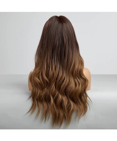HAIRCUBE Ombre Brown Long Curly Wig 24 Inch | Synthetic Heat Resistant Fiber | Middle Part Wig for Women - Buy Online on GoSupps.com