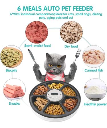 Chintu Automatic Cat Feeder - Programmable Pet Food Dispenser for Small Dogs - Portion Control, Timed Smart Feeding with Voice Reminder - Buy Online on GoSupps.com