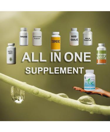 GC GoutCare 6 Bottle Pack- Uric Acid Management and Joint Support Featuring Turmeric Garlic Milk Thistle and More - (90 Capsules in Each Bottle x 6) - Buy Online on GoSupps.com