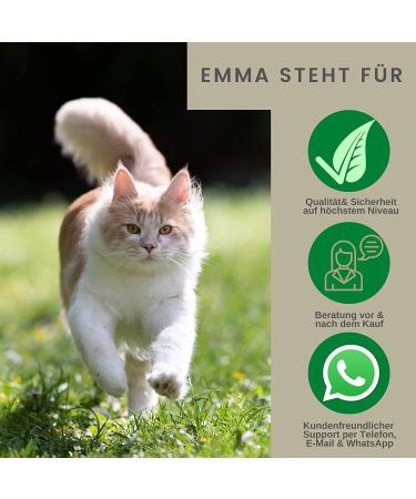 Intestinal Cure Cat Active Herbs Drops I First Aid Digestion - Gastrointestinal Intestinal Flora I Restorative Food - Diarrhea Flatulence I Intestinal Sanitation 30ml - Buy Online on GoSupps.com