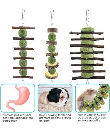 Erkoon Natural Timothy Hay Rabbit & Small Animal Chew Cubes | Dental Care Treats for Hamsters Chinchillas Guinea Pigs & More - Buy Online on GoSupps.com