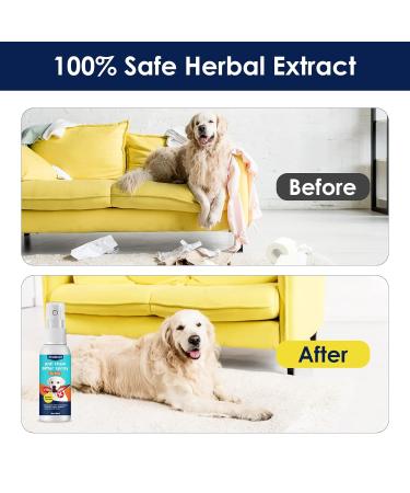 Feulover Bitter Apple Spray for Dogs Stop Chewing, Licking, and Biting No Chew Spray for Furniture Protection Behavior Correction for Dogs & Cats - Buy Online on GoSupps.com