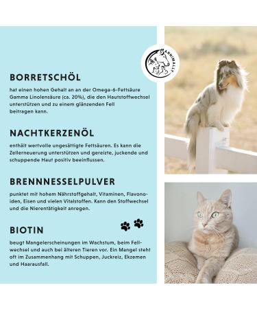 Annimally Haut & Fell Powder for Dogs & Cats | Promotes Healthy Coat Reduces Hair Loss | Biotin Zinc Brewer's Yeast & Spirulina - Buy Online on GoSupps.com