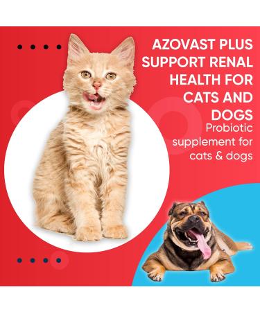 Azovast Plus Kidney Health Supplement for Dogs & Cats - Supports Kidney Function & Manages Renal Toxins - 120 Capsules - Made in USA - Buy Online on GoSupps.com
