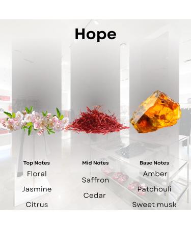 Coco-Chance-Inspired Diffuser Oil Refill - Scentia Hope Dupe Fragrance Oil Blend Home Luxury Scents Essential Oil Set for Aromatherapy Di?users Candle Making | 20 ml 0.67 Fl Oz Thanksgiving Gift Hope 0.67 Fl Oz (Pack of  - Buy Online on GoSupps.com