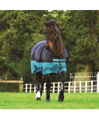 Horseware Mio T/O Lite Waterproof Turnout Rug - Black/Turquoise 125 cm | International Shipping Available - Buy Online on GoSupps.com
