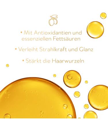 Argan Deluxe Haarmask - Intense Argan Oil Treatment for Frizz & Damaged Hair - 250ml Hydrating Hair Mask from Morocco - Buy Online on GoSupps.com