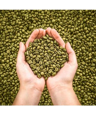 Reduce Uric Acid Naturally | 60 Caps - Effective Supplements & Tips - Buy Online on GoSupps.com