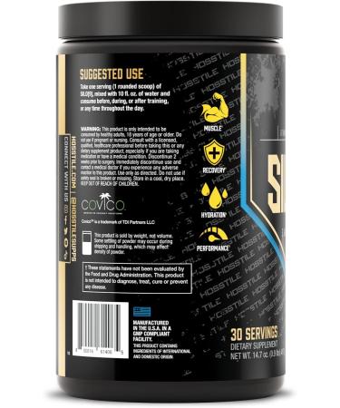 HOSSTILE SILO 9 EAA + Hydration Powder Essential Amino Acids with Electrolytes EAA BCAA Intra Workout Powder & Post Workout Recovery Blueberry Lemonade 30 Servings - Buy Online on GoSupps.com