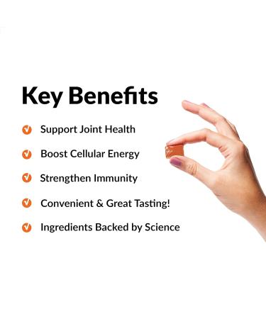 Force Factor Total Beets & Turmeric Joint Support Soft Chews Bundle - Buy Online on GoSupps.com