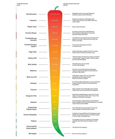 Espelette Pepper Powder from France - 0.53oz | Authentic French Spice | Pack of 1 - Buy Online on GoSupps.com