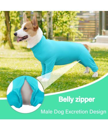 Etdane One - Divider for Dogs | Surgery Recovery Suit Prevents Hair Loss Sports Shirt & Anxiety Jumpsuit | Size S Blue - Buy Online on GoSupps.com