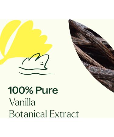 Plant Therapy Vanilla Botanical Extract 100 mL (3.3 oz) 100% Pure Undiluted Romantic Cozy Scent - Buy Online on GoSupps.com