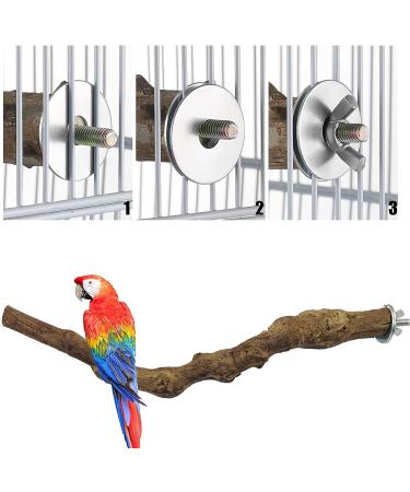 Bird store cage perches