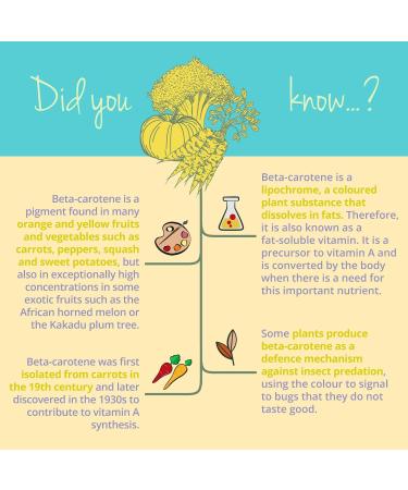 Vegavero Beta Carotene Supplement with Vitamin E & Astaxanthin for Golden Tan | Lab-Tested | 120 Vegan Tanning Capsules - Buy Online on GoSupps.com