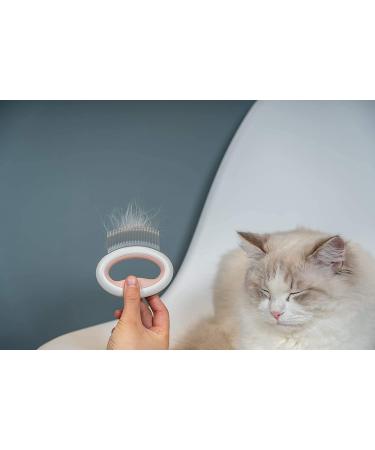 Kukerose Cat Comb - Pet Grooming & Massage Tool for Short Hair Removal - Cute Shell Comb for Dogs, Puppies, Rabbits - Painless Deshedding - Buy Online on GoSupps.com