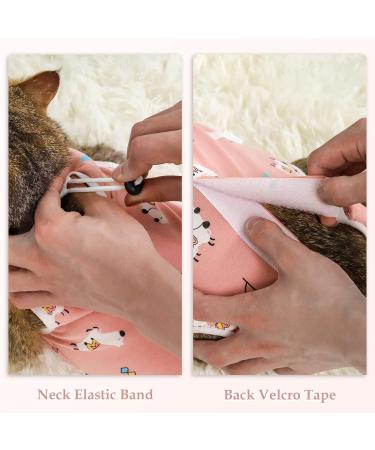 ANWA 2 Pack Cat Recovery Suit - Breathable Cat Surgery Recovery Suit Female Cat Onesie for Cats After Surgery Cat Spay Recovery Suit Female Abdominal Wounds M Alpaca + Kitten - Buy Online on GoSupps.com