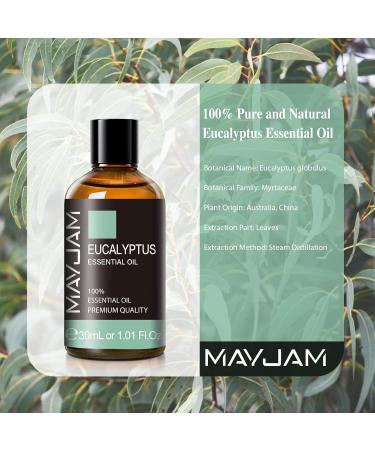 MAYJAM Eucalyptus Essential Oil 30ML - Pure Eucalyptus Oil for Diffuser Humidifier & DIY Home Use | Ideal for Wardrobes & Aromatherapy - Buy Online on GoSupps.com