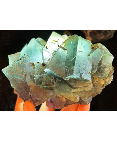 707g Natural Green Purple Fluorite Cluster Crystal Specimen JZIGTDEM - Buy Online on GoSupps.com