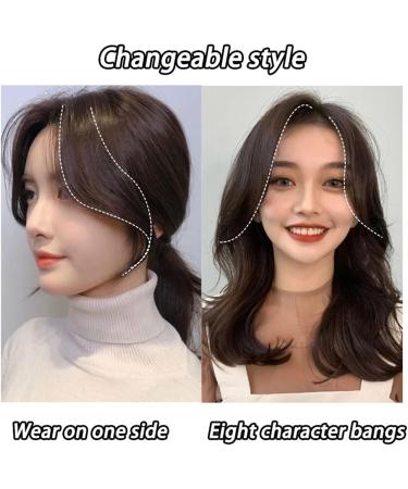 Bangs Hair Clip 2 Pieces Synthetic Fake Fringe Women's Fringe Clip in Hair Bangs Hairpiece Natural Hair Middle Part Two Sides Bang Hair Piece Clip in Extensions Bangs Clip in Hair (Color : Light brow Light brown - Buy Online on GoSupps.com