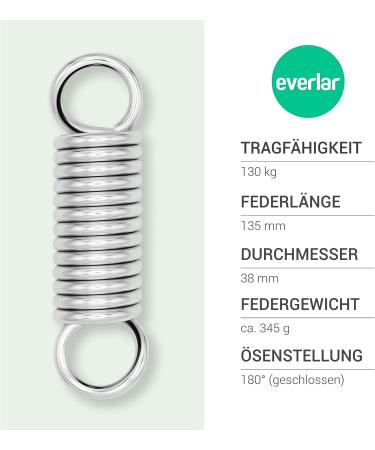 Everlar Anti Shock BoxSackfeder SET - 2 Karabiner | Quality EU Made Accessories for Sandbag & Punching Bag Suspension | 130 kg - Buy Online on GoSupps.com