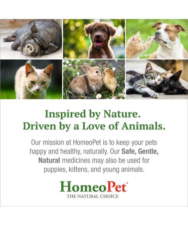 HomeoPet Feline UTI Plus Safe and Natural Urinary Tract Medicine for Cats Feline Urinary Tract Support 15 Milliliters - Pack of 2 - Buy Online on GoSupps.com