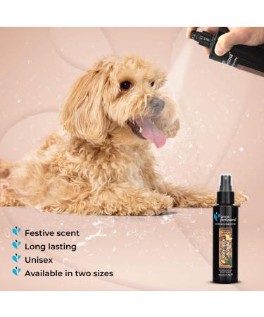 GROOM PROFESSIONAL Warm Spice & Vanilla Festive Dog Cologne Spray - Dog Perfume Spray - Dog Spray for Smelly Dogs - Pet Fragrance with a Spicy Accord of Cinnamon & Nutmeg - Festive Scent 100ml 100 ml (Pack of 1) - Buy Online on GoSupps.com
