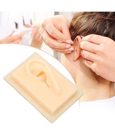 Buy Earl Model Silicone Acupuncture Ear - Natural Size Soft & Shiny - Perfect for Teaching (Left) - Buy Online on GoSupps.com