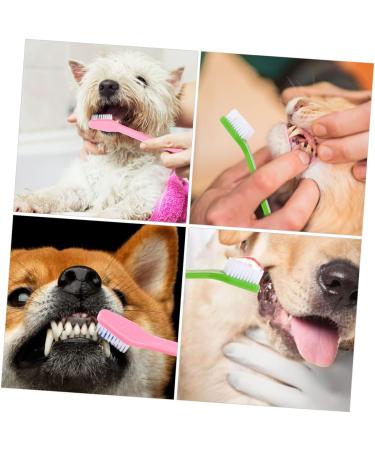 Yardwe 60 Pcs Double Head Dog Toothbrush Dog Teeth Cleaning Toothbrushes Cat Toothbrush and Toothpaste Pp - Buy Online on GoSupps.com