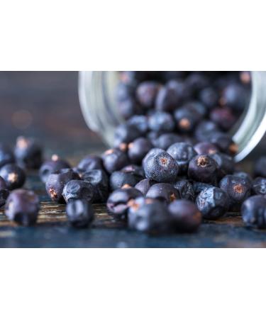 Tasty Pott Organic Juniper Berries (whole and dried) 250g Bag | Pleasure & Taste | Cooking & Cooking | Spice Flavour | Gourmet Gin | Marinade Meat Dishes | Advantageous Pack - Buy Online on GoSupps.com