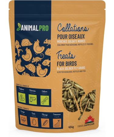 AnimalPro Black Soldier Fly 0 454 Kg (1 Lb) - Buy Online on GoSupps.com