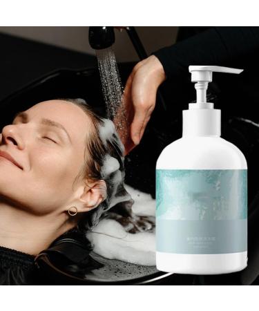  WJnflQN Shampoo for Oily Hair | Daily Clarifying Shampoo for Women | Absorbs Excess Oil | Oily Hair Care for Home School and Travel - Buy Online on GoSupps.com