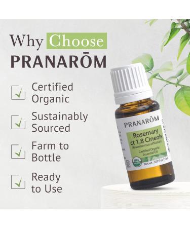 Pranarom USDA Certified Organic Rosemary Cineole Essential Oil (15ml) 100% Pure Undiluted Therapeutic Grade from Tunisia for Aromatherapy Diffuser Meditation Massage Relaxation 0.5 Fl Oz (Pack of 1) - Buy Online on GoSupps.com