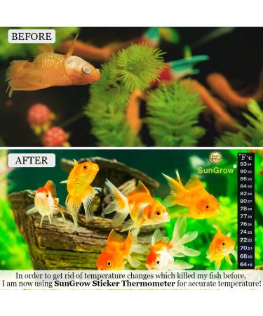 SunGrow Aquarium Sticker Thermometer - Precise Temperature Measurement for Fish, Shrimps & Turtles - Easy Peel & Stick Installation - 2 Color Indicators - Buy Online on GoSupps.com
