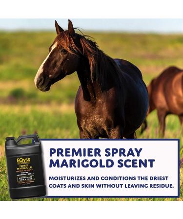 EQyss Premier Spray Marigold Scent - Moisturizes and Conditions Skin Coat and Mane (128oz) 3.78 l (Pack of 1) - Buy Online on GoSupps.com